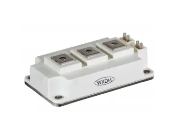 IGBT MODULE